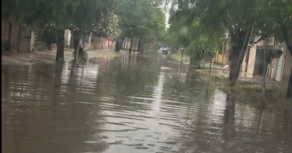 Imagen adicional