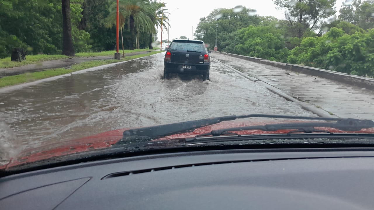 Imagen adicional
